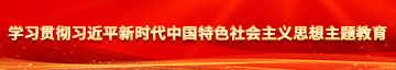 美女被c到爽的视频学习贯彻习近平新时代中国特色社会主义思想主题教育